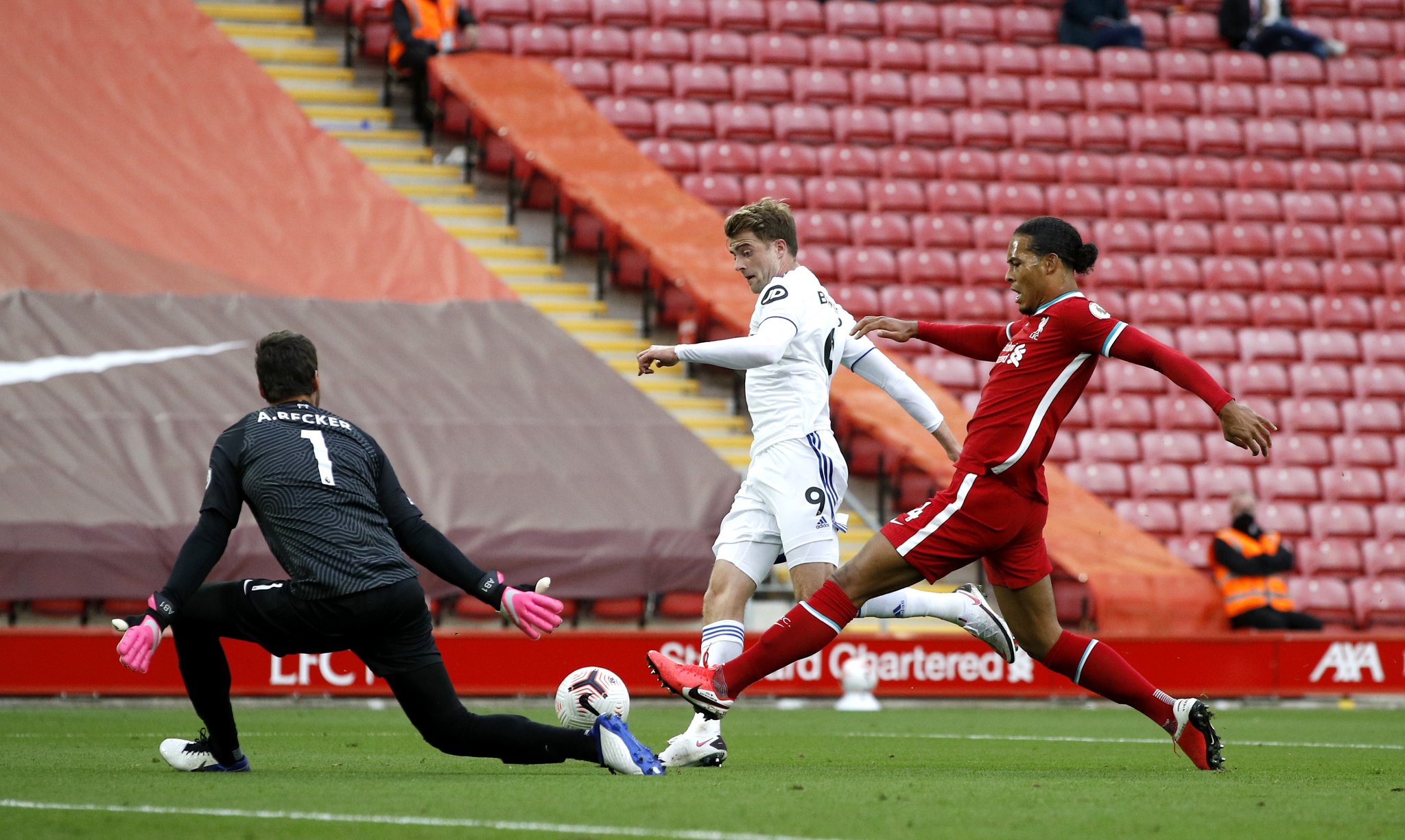 情感纽带和 情感纽带和